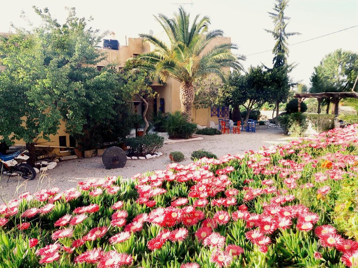 Vagia Beach Apartments, Aegina Island Kamer foto