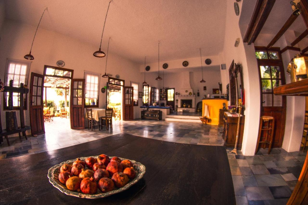 Vagia Beach Apartments, Aegina Island Kamer foto