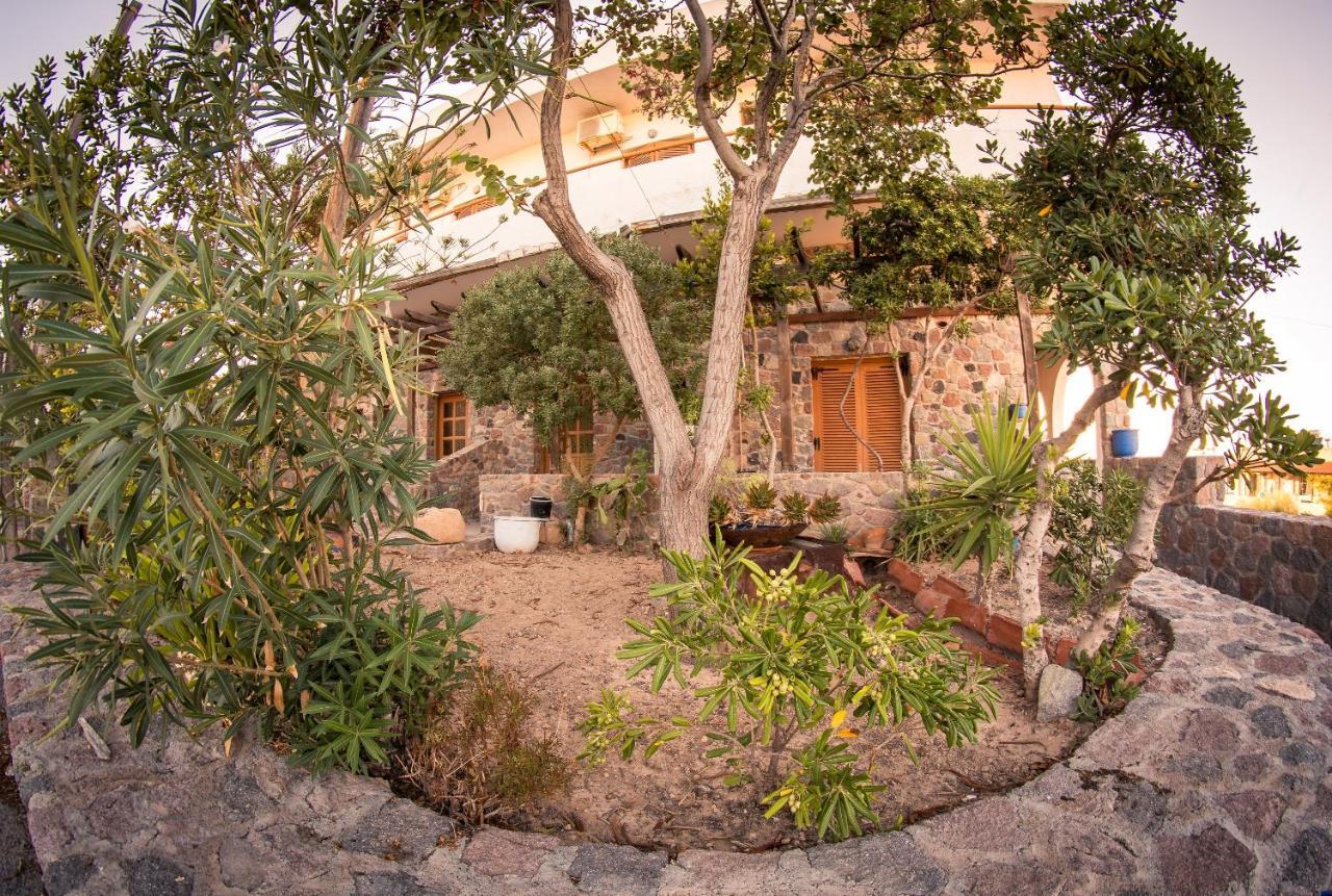 Vagia Beach Apartments, Aegina Island Kamer foto